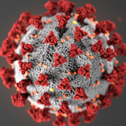 ISPE Members COVID-19 Work