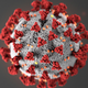 ISPE MEMBERS COVID-19 WORK
